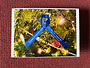 M.E. Christmas Card